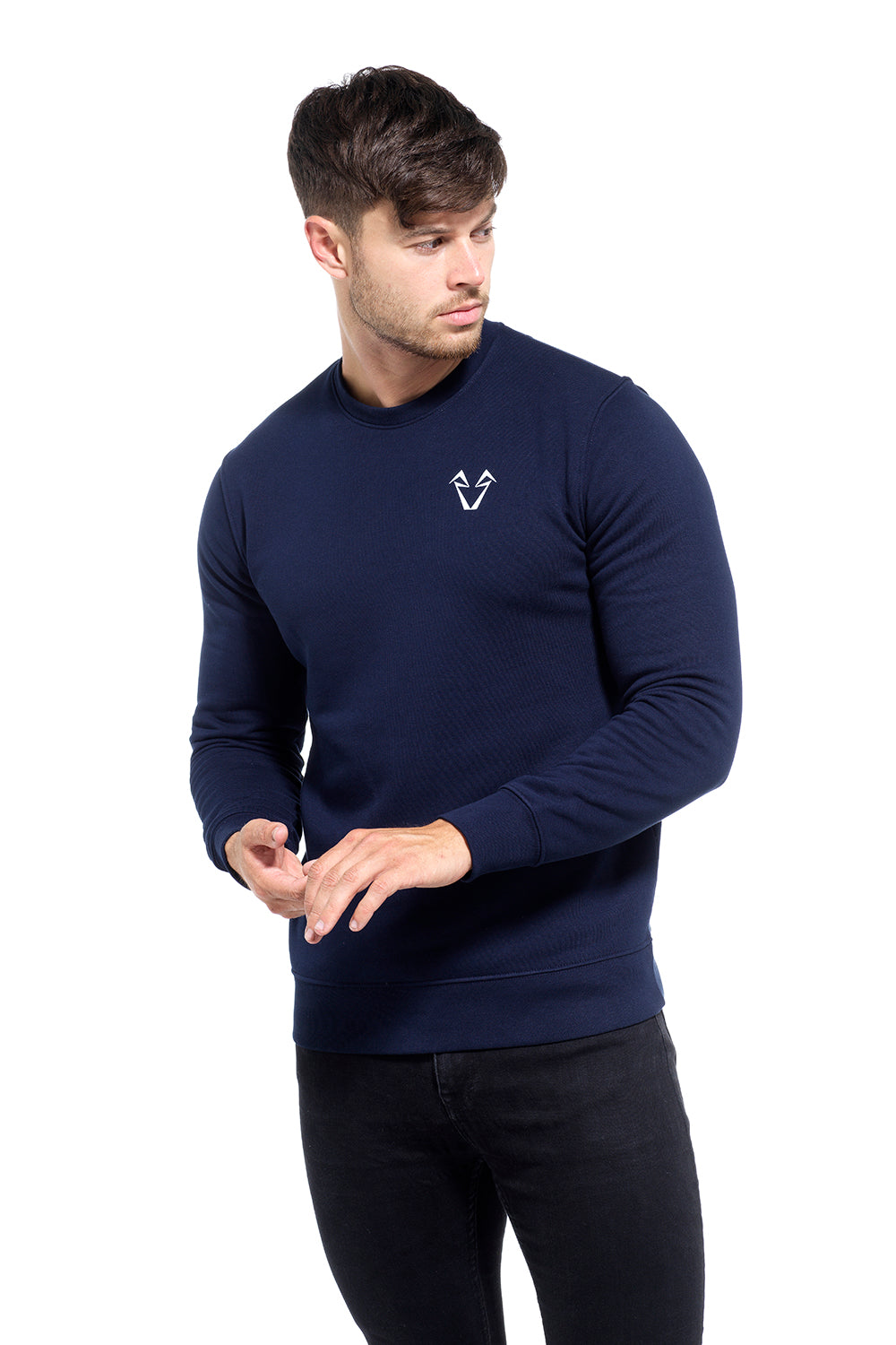 Vibe Regular Fit Sweatshirt - Navy